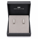 Silver Crystal Hoop Earrings