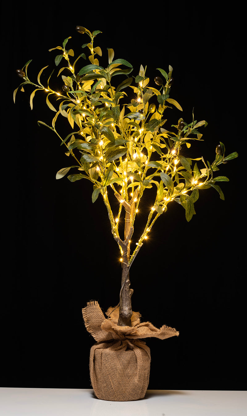 THE GRANGE COLLECTION LIGHT UP FAUX MEDIUM OLIVE TREE WITH SACKCLOTH BASE