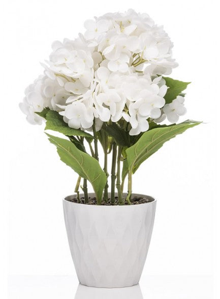 THE GRANGE COLLECTION HYDRANGEA IN WHITE 35CM