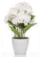 THE GRANGE COLLECTION HYDRANGEA IN WHITE 35CM